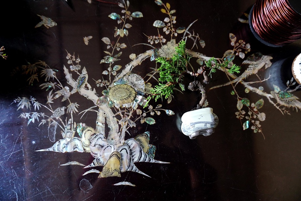 Bonsai siêu mini giá chục triệu đồng ở Sài Gòn - 14 Bonsai siêu mini giá chục triệu đồng ở Sài Gòn - 14
