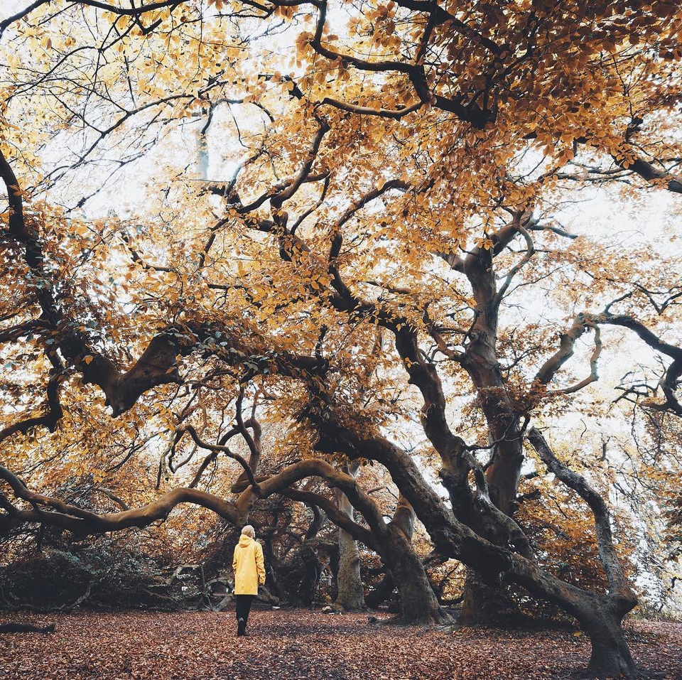 15 lý do bạn nhất định phải một lần đến nước Đức vào mùa hè - 2