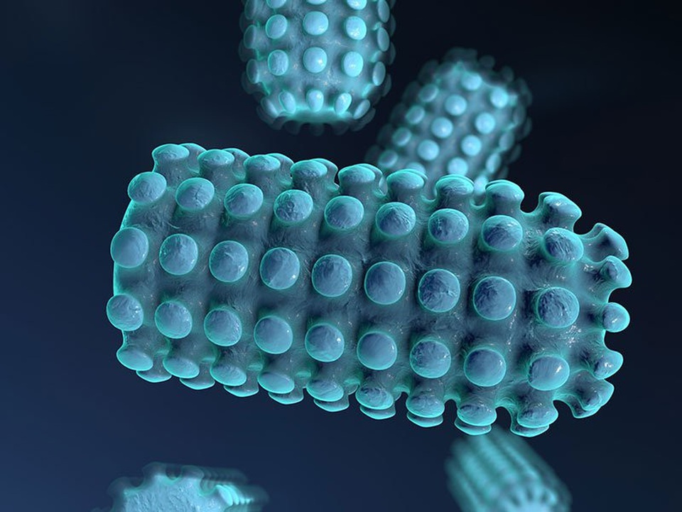 Đột phá xét nghiệm xác định có cần tiêm vắc xin ngừa bệnh dại không - 2