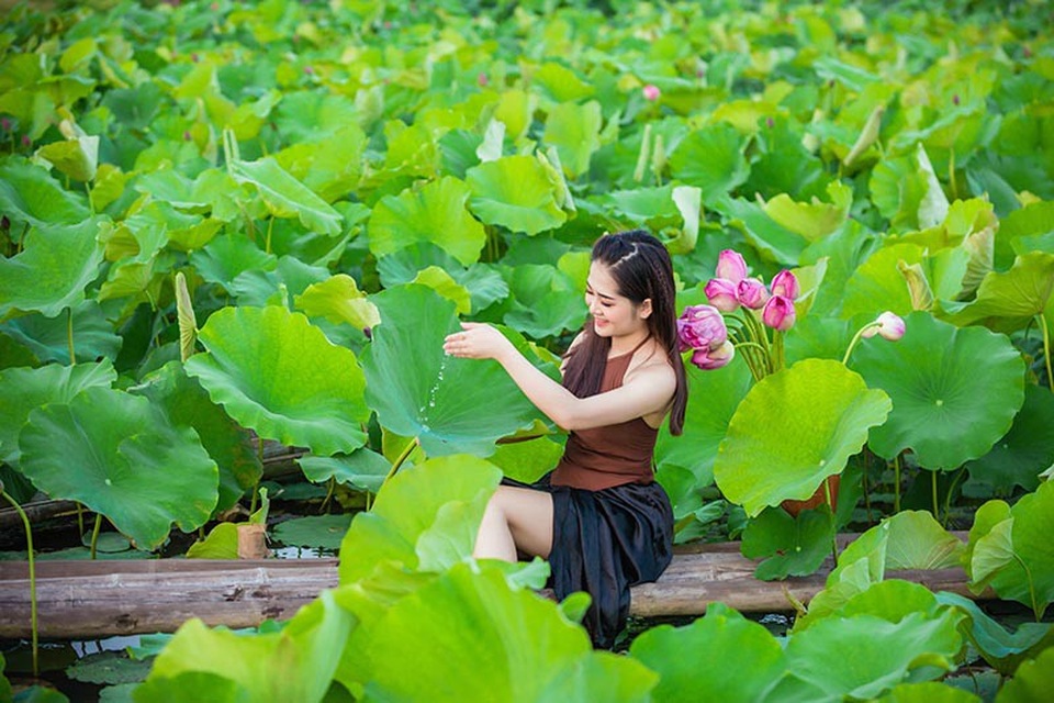 Ngắm thiếu nữ Hải Dương duyên dáng bên hồ sen đầu mùa - 7 Ngắm thiếu nữ Hải Dương duyên dáng bên hồ sen đầu mùa - 7