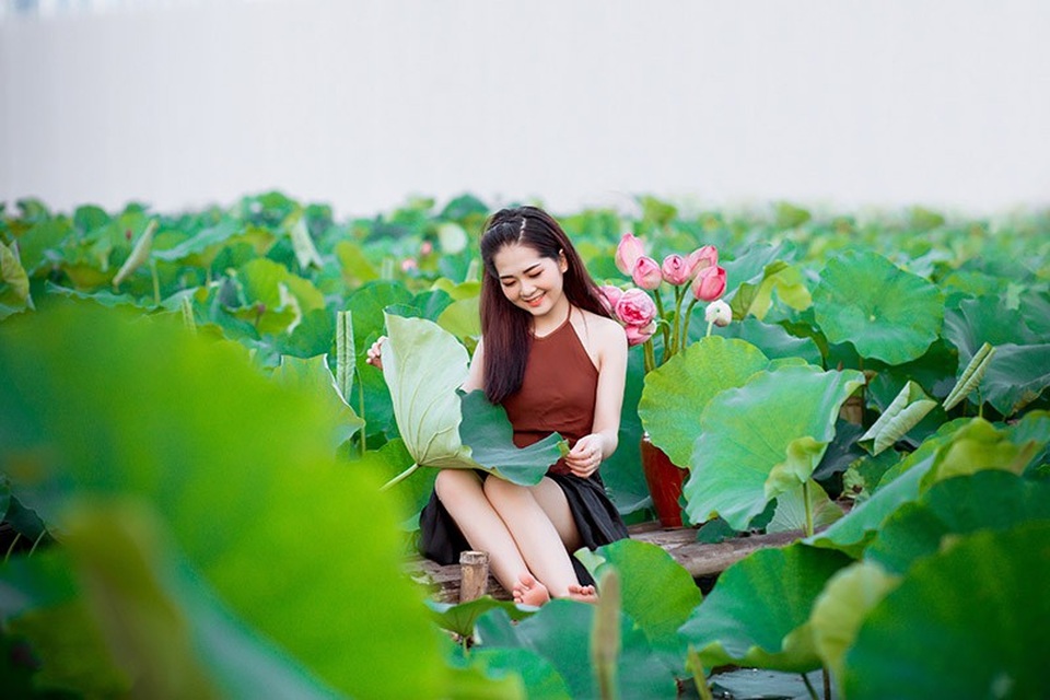 Ngắm thiếu nữ Hải Dương duyên dáng bên hồ sen đầu mùa - 6 Ngắm thiếu nữ Hải Dương duyên dáng bên hồ sen đầu mùa - 6