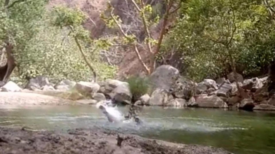 Selfie dưới ao sâu, 3 thanh niên vô tình quay lại những phút cuối đời mình - 1
Đoạn video ghi lại cảnh 3 thanh niên vùng vẫy tuyệt vọng trước khi chết đuối