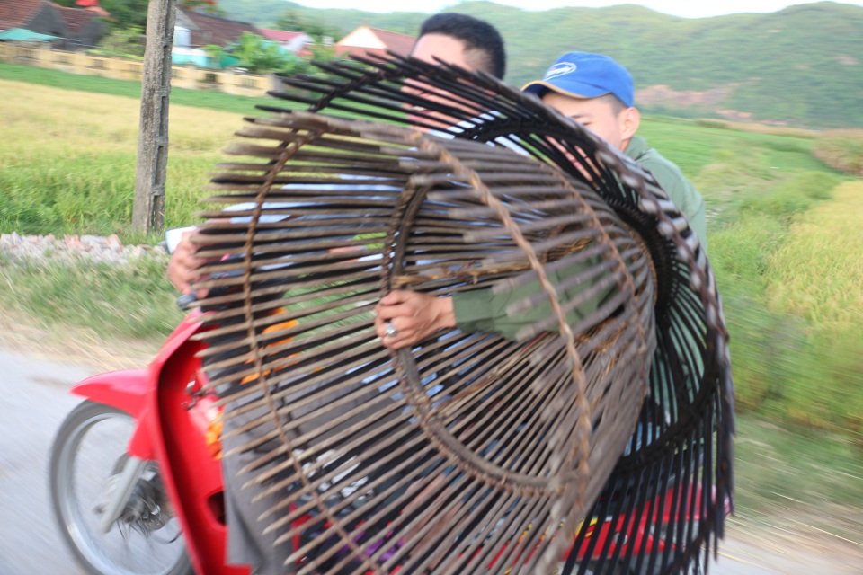 Hàng trăm người dân lao xuống đầm tìm vận may - 2 Hàng trăm người dân lao xuống đầm tìm vận may - 2