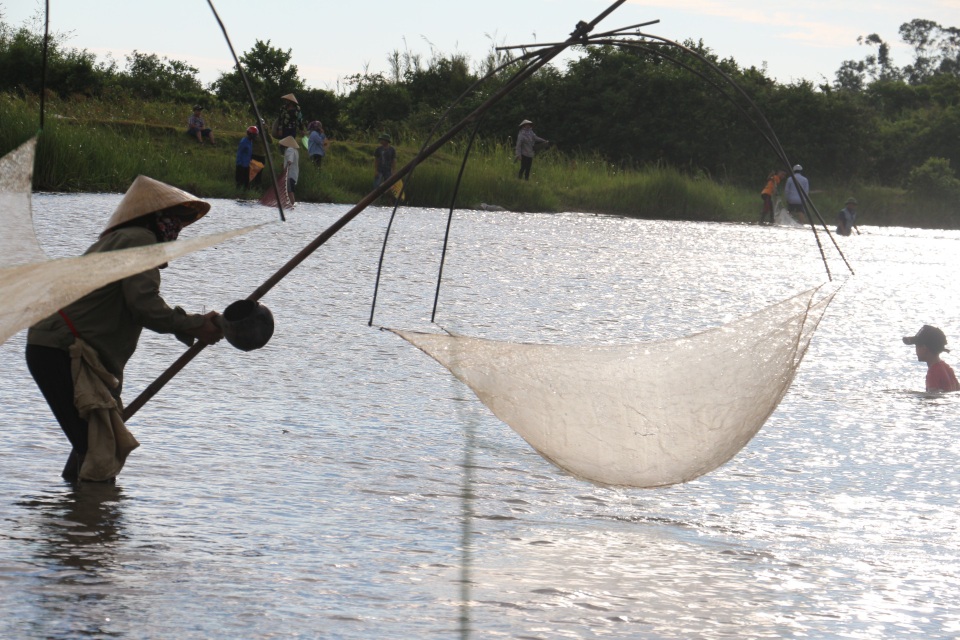 Hàng trăm người dân lao xuống đầm tìm vận may - 12 Hàng trăm người dân lao xuống đầm tìm vận may - 12