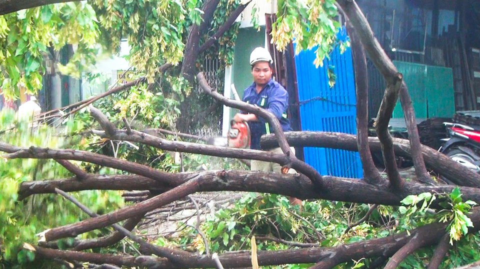 TPHCM: Nhiều nhà dân tốc mái, cây xanh bật gốc sau mưa - 1
Nhân viên cây xanh khắc phục sự cố