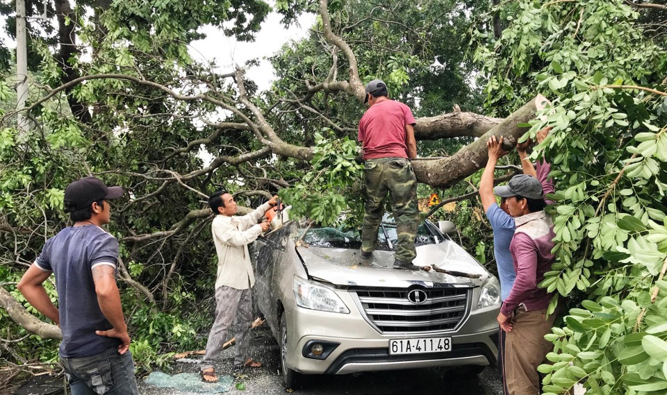 Hiện trường kinh hoàng ôtô bị cây xanh đè bẹp, tài xế mắc kẹt sau tay lái - 4 Mọi người tìm cách cứu tài xế kẹt trong ôtô ra ngoài.