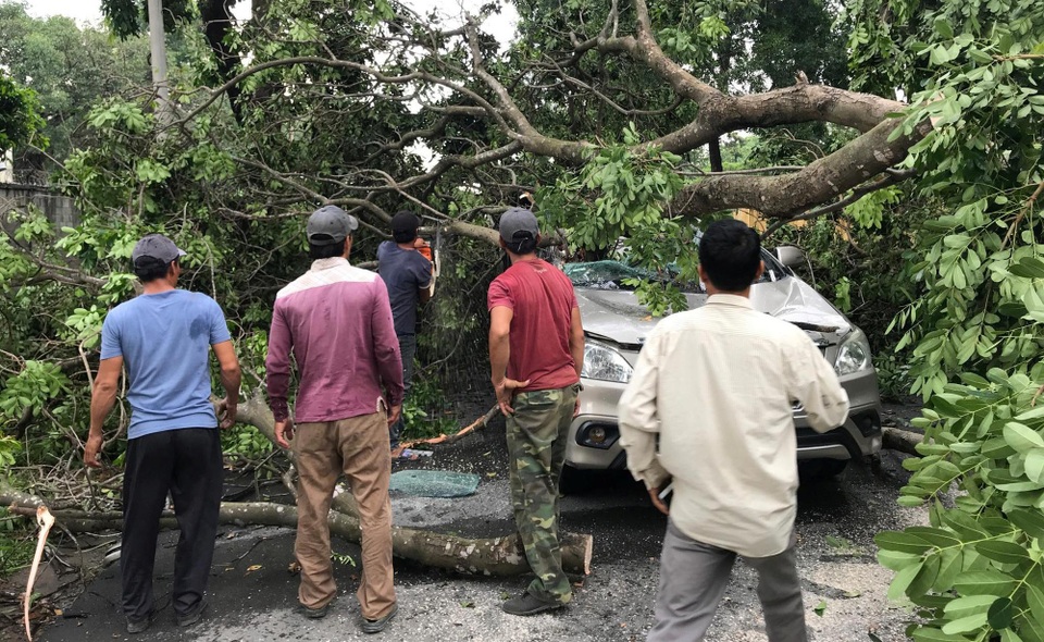 Hiện trường kinh hoàng ôtô bị cây xanh đè bẹp, tài xế mắc kẹt sau tay lái - 2 Cảnh tượng hãi hùng chiếc ôtô 7 chỗ bị cây xanh bật gốc đè bẹp dúm...