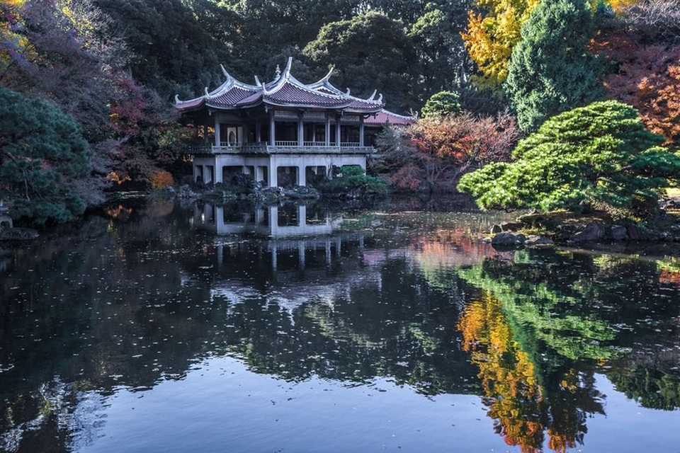 10 việc nhất định phải thử nếu đến Tokyo - 1 10 việc nhất định phải thử nếu đến Tokyo - 1