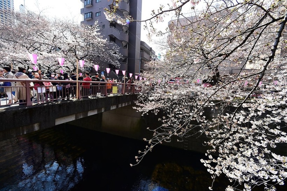 10 việc nhất định phải thử nếu đến Tokyo - 6 10 việc nhất định phải thử nếu đến Tokyo - 6