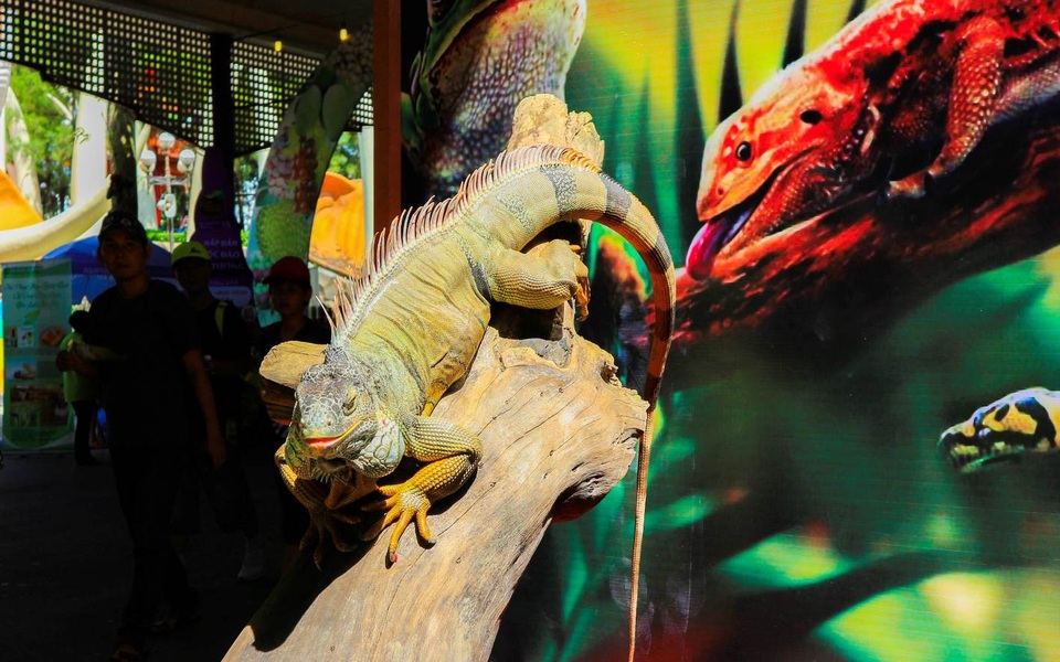 Vui hè suối tiên cùng lễ hội trái cây nam bộ 2018 - 6 Vui hè suối tiên cùng lễ hội trái cây nam bộ 2018 - 6