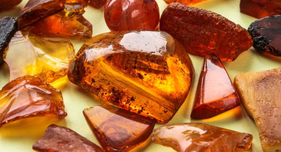 Lần đầu tiên tìm thấy con bọ ve quấn mạng nhện trong mảnh hổ phách - 1 Lần đầu tiên tìm thấy con bọ ve quấn mạng nhện trong mảnh hổ phách - 1