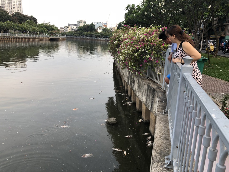 Huy động máy móc vớt hàng tấn cá chết trắng kênh Nhiêu Lộc - Thị Nghè - 4 Người dân tiếc nuối nhìn tình trạng cá chết trắng kênh Nhiêu Lộc - Thị Nghè