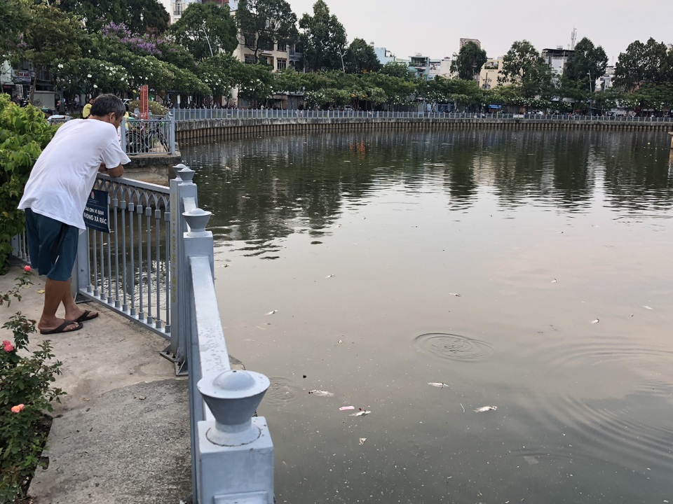 Huy động máy móc vớt hàng tấn cá chết trắng kênh Nhiêu Lộc - Thị Nghè - 3 Huy động máy móc vớt hàng tấn cá chết trắng kênh Nhiêu Lộc - Thị Nghè - 3