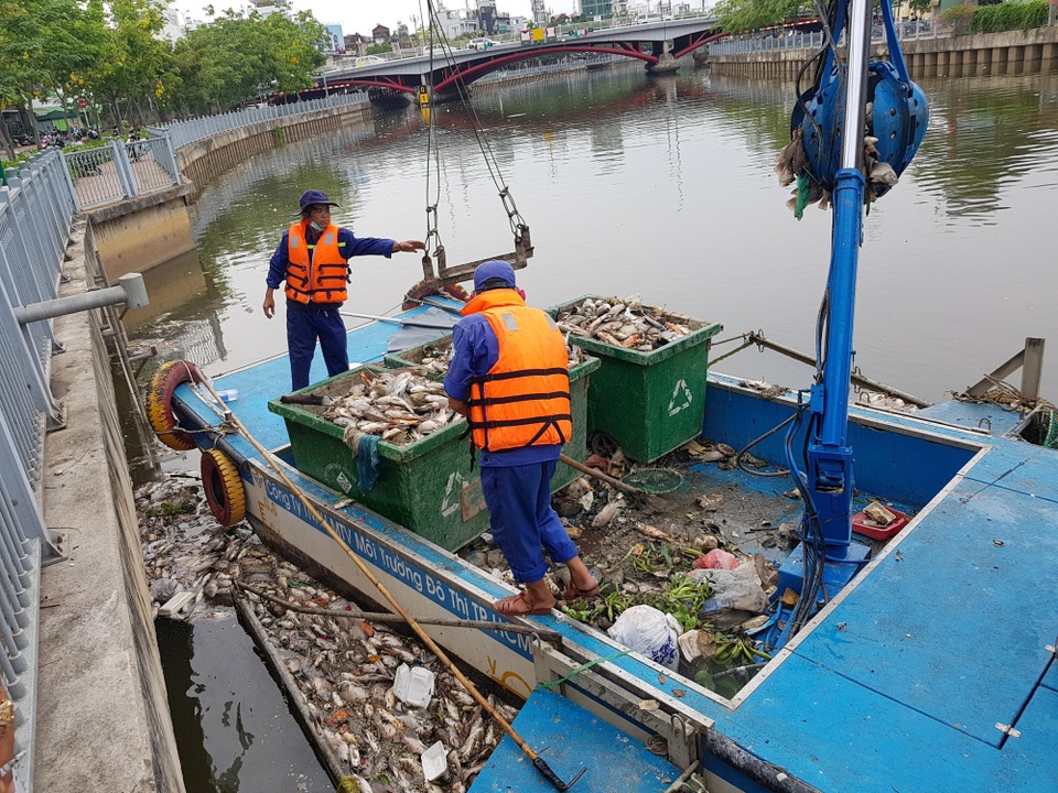 Huy động máy móc vớt hàng tấn cá chết trắng kênh Nhiêu Lộc - Thị Nghè - 8
Việc vớt cá chết trên kênh được huy động cả nhân công và máy móc nhằm giảm tình trạng ô nhiễm