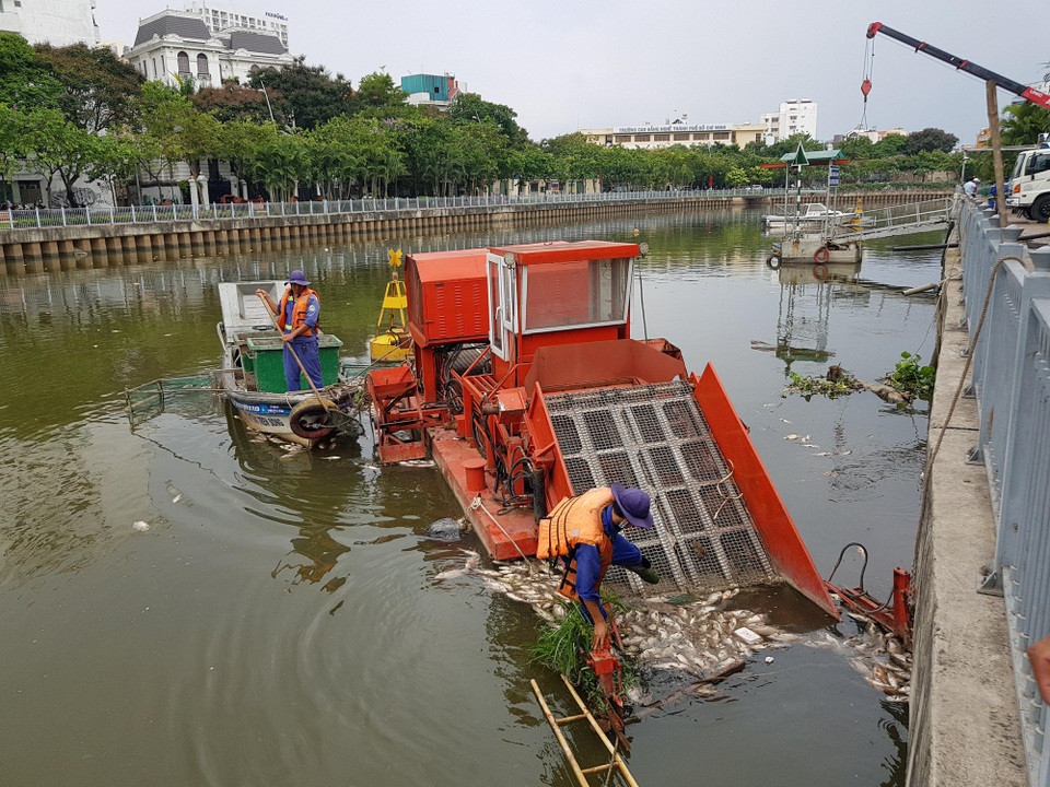 Huy động máy móc vớt hàng tấn cá chết trắng kênh Nhiêu Lộc - Thị Nghè - 6 Huy động máy móc vớt hàng tấn cá chết trắng kênh Nhiêu Lộc - Thị Nghè - 6