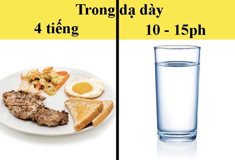 Có nên uống nước trong khi ăn? - 1 Có nên uống nước trong khi ăn? - 1