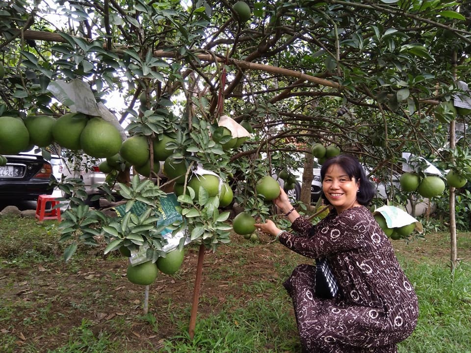 Hè đến rủ nhau về Đồng Nai ghé thăm làng bưởi xanh mướt mát - 4 Hè đến rủ nhau về Đồng Nai ghé thăm làng bưởi xanh mướt mát - 4