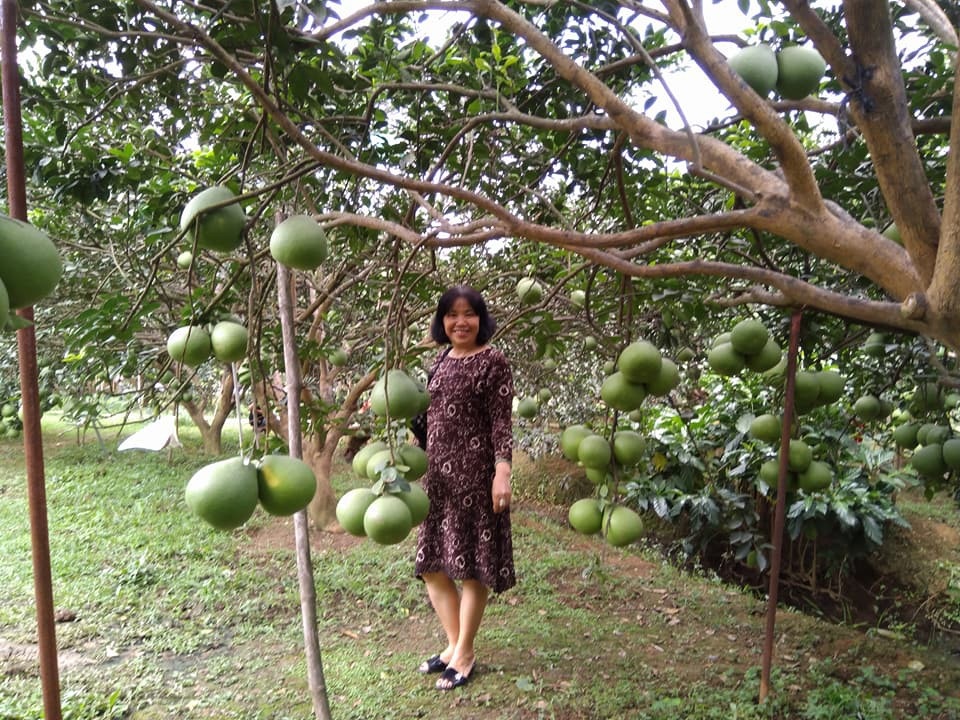 Hè đến rủ nhau về Đồng Nai ghé thăm làng bưởi xanh mướt mát - 5 Hè đến rủ nhau về Đồng Nai ghé thăm làng bưởi xanh mướt mát - 5