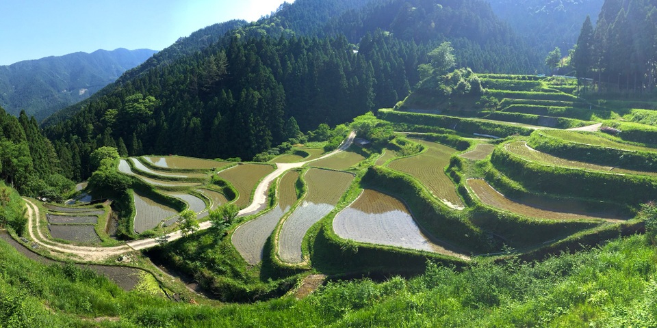 Điều kỳ diệu ở thị trấn không một cọng rác tại Nhật Bản - 2