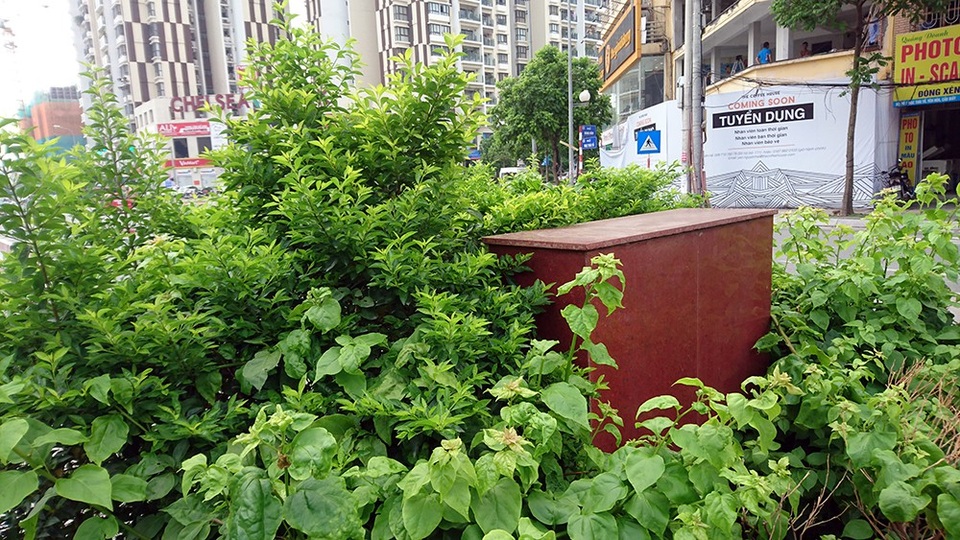 Mương nước đen đặc quánh rác thải giữa khu đô thị mới ở Hà Nội - 2
Cây dại mọc kín xung quanh biển tên công trình.