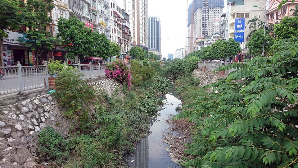 Mương nước đen đặc quánh rác thải giữa khu đô thị mới ở Hà Nội - 1
Được xây dựng từ năm 2014, đến nay cây dại đã phủ kín lòng mương chạy dọc đường Mạc Thái Tổ (Yên Hòa, Cầu Giấy, Hà Nội). Đây cũng là điểm nóng ô nhiễm ở khu vực mới hình thành khu đô thị khang trang.