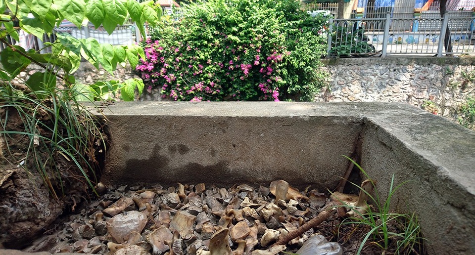 Mương nước đen đặc quánh rác thải giữa khu đô thị mới ở Hà Nội - 8
Bồn hoa cũng thành nơi đổ rác thải.