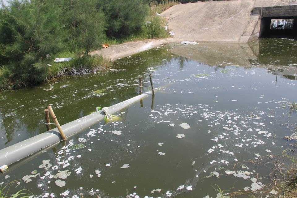 Kinh hãi dòng nước đen ngòm từ hồ tôm xả thẳng ra biển - 4 Trên mặt nước thải còn có các lớp vàng, bọt trắng bốc mùi hôi thối rất khó chịu