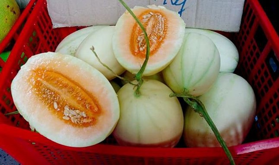 Dưa lê vàng như bí ngô: Đặc sản lạ đích thị hàng Trung Quốc - 1
Dưa lê bí ngô đang được bày bán tràn ngập thị trường