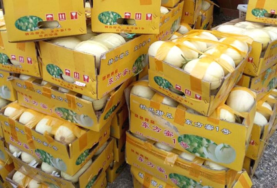 Dưa lê vàng như bí ngô: Đặc sản lạ đích thị hàng Trung Quốc - 2
Các đầu mối bỏ sỉ tiết lộ loại dưa bí ngô được nhập từ Trung Quốc về