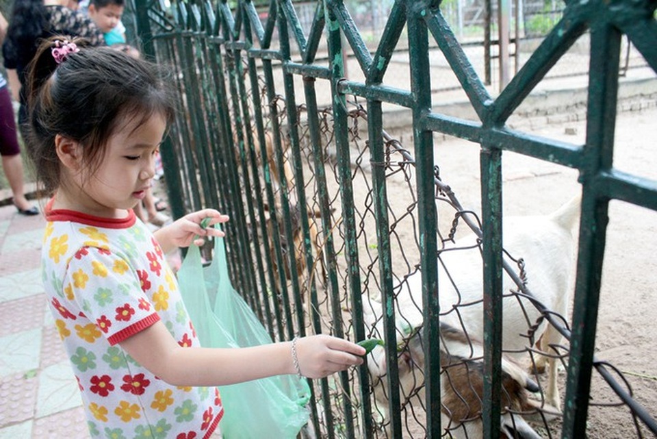 Những địa điểm vui chơi hấp dẫn cho trẻ em Hà Nội ngày 1.6 - 1 Những địa điểm vui chơi hấp dẫn cho trẻ em Hà Nội ngày 1.6 - 1