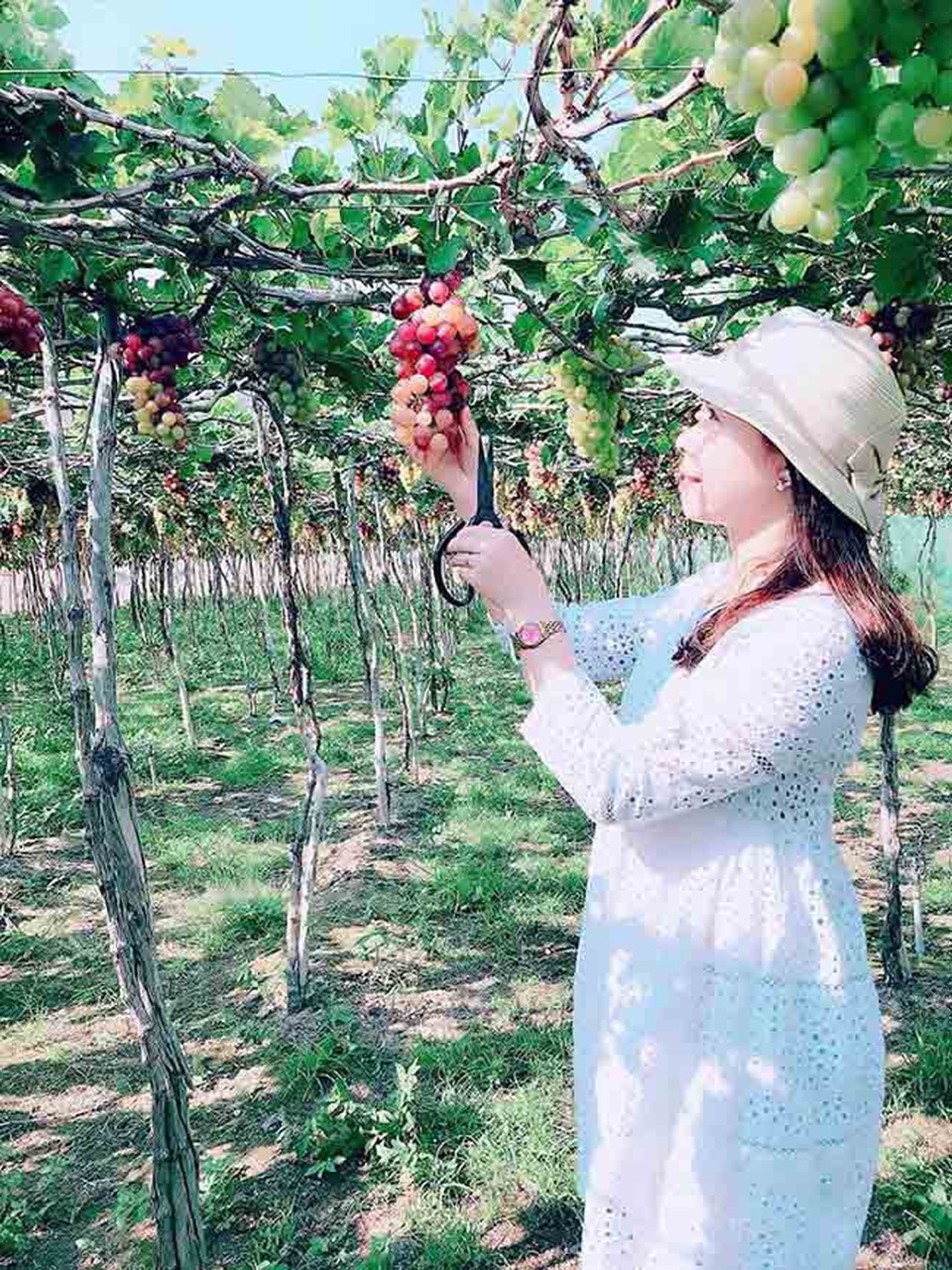 Khám phá vùng đất nắng gió và cát ở Ninh Thuận từ A-Z - 7 Khám phá vùng đất nắng gió và cát ở Ninh Thuận từ A-Z - 7