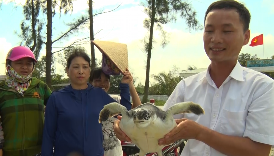 Con rùa biển nặng khoảng 4kg lần đầu tiên ngư dân Cửa Hội bắt được.