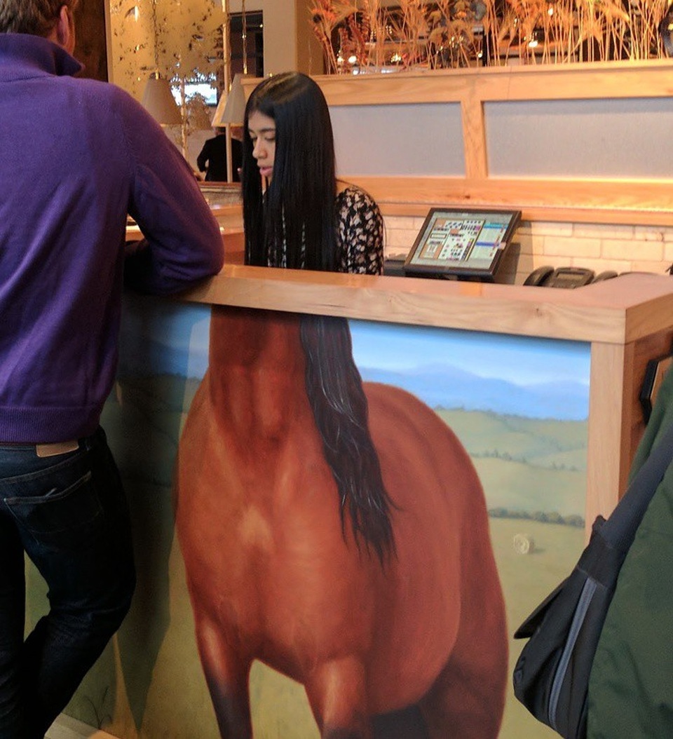 Chùm ảnh trùng hợp hài hước “đánh lừa" thị giác người nhìn - 14 Khi nhân mã làm lễ tân