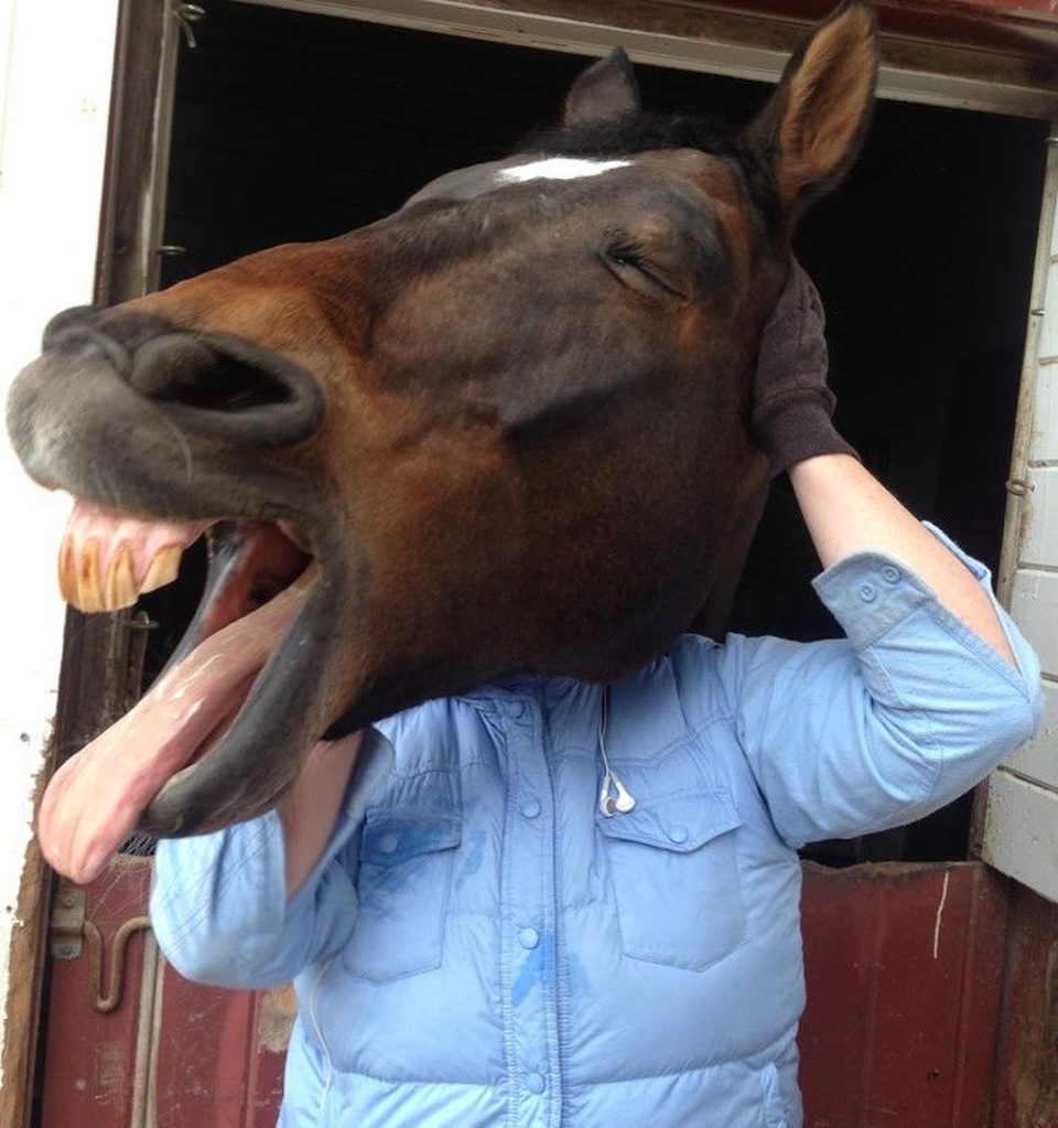 Chùm ảnh trùng hợp hài hước “đánh lừa" thị giác người nhìn - 16 “Ngựa người, người ngựa”