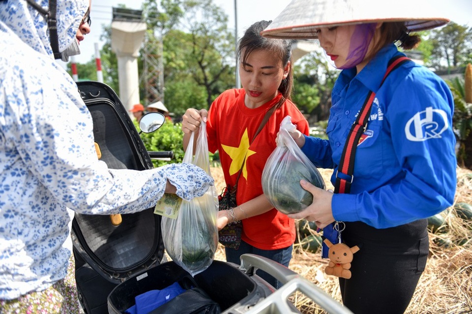 Nhóm sinh viên Hà Nội "giải cứu" dưa hấu ế giúp nông dân Quảng Ngãi - 11 Nhóm sinh viên Hà Nội "giải cứu" dưa hấu ế giúp nông dân Quảng Ngãi - 11