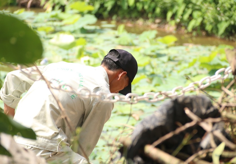 Phố đi bộ thứ hai của Hà Nội gấp rút chuẩn bị cho ngày khai trương - 8 
Nhiều công nhân miệt mài dọn dẹp trong thời tiết nắng nóng đầu hè.