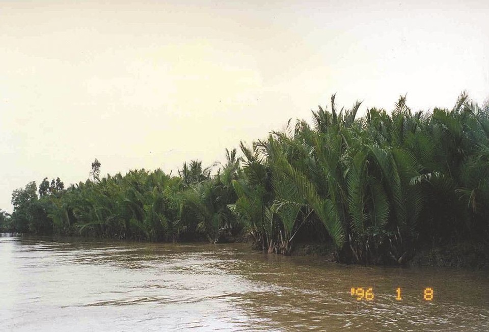 Nam Sài Gòn “thay da đổi thịt” sau 43 năm giải phóng - 13 Cả một vùng sông nước kênh rạch chằng chịt dừa nước