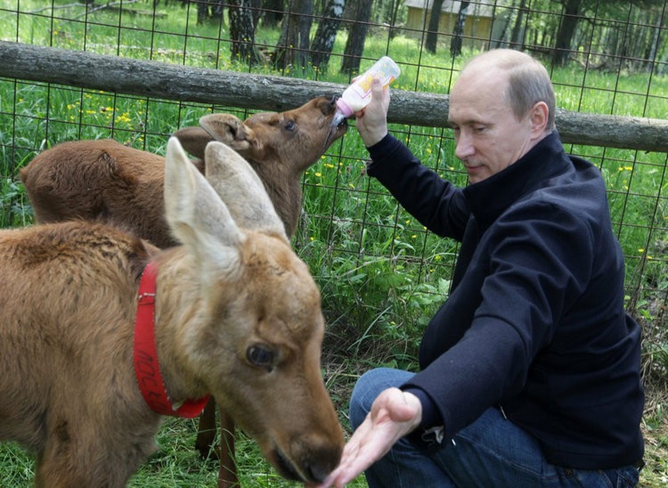 Những khoảnh khắc ấn tượng của Tổng thống Putin - 19 Nhà lãnh đạo Nga cho hai con nai uống sữa tại công viên ở đông bắc Moscow. (Ảnh: Reuters)