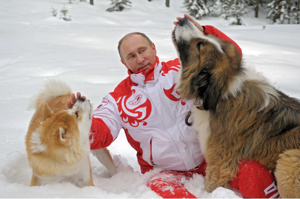 Những khoảnh khắc ấn tượng của Tổng thống Putin - 20 Chó cũng là con vật thân thiết với Tổng thống Putin. (Ảnh: Getty)