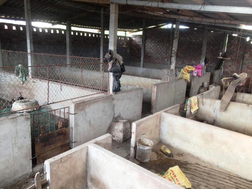 “Thủ phủ” nuôi lợn lớn nhất miền Bắc “tiêu điều” sau cơn bão giá - 3 Nhiều chuồng trại đang phải bỏ hoang vì người chăn nuôi thua lỗ quá nặng, lâm vào cảnh nợ nần, không thể tái đàn.