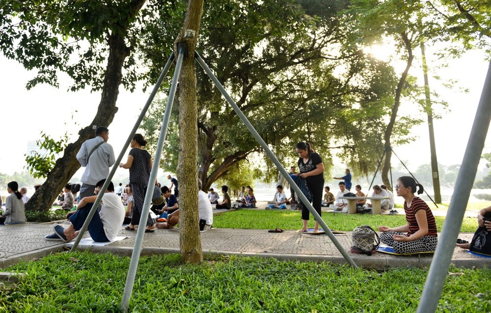 
Ngoài sưa đỏ, những cây sưa trắng ở công viên Thống nhất cũng được chăm chút cẩn thận, có chân chống phòng gãy đổ.
