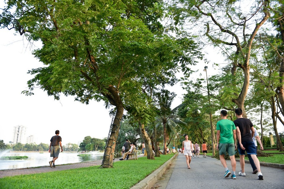 
Công viên Thống Nhất là nơi tập trung nhiều cây sưa đỏ nhất ở Hà Nội, số lượng lên đến vài chục cây. Cây sưa ở đây cũng đặc biệt quý vì có tuổi cao, thân lớn.
