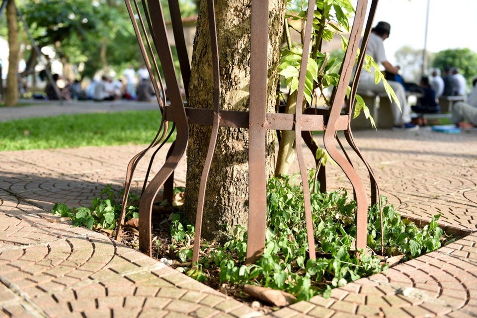 
Các chân khung sắt cắm sâu xuống đất.
