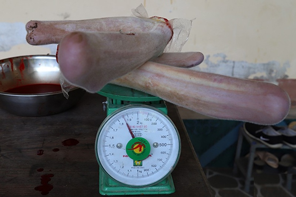 Chiêm ngưỡng cặp nhung hươu có trọng lượng cực “khủng” - 4 Trọng lượng cặp nhung đạt hơn 1,8kg.