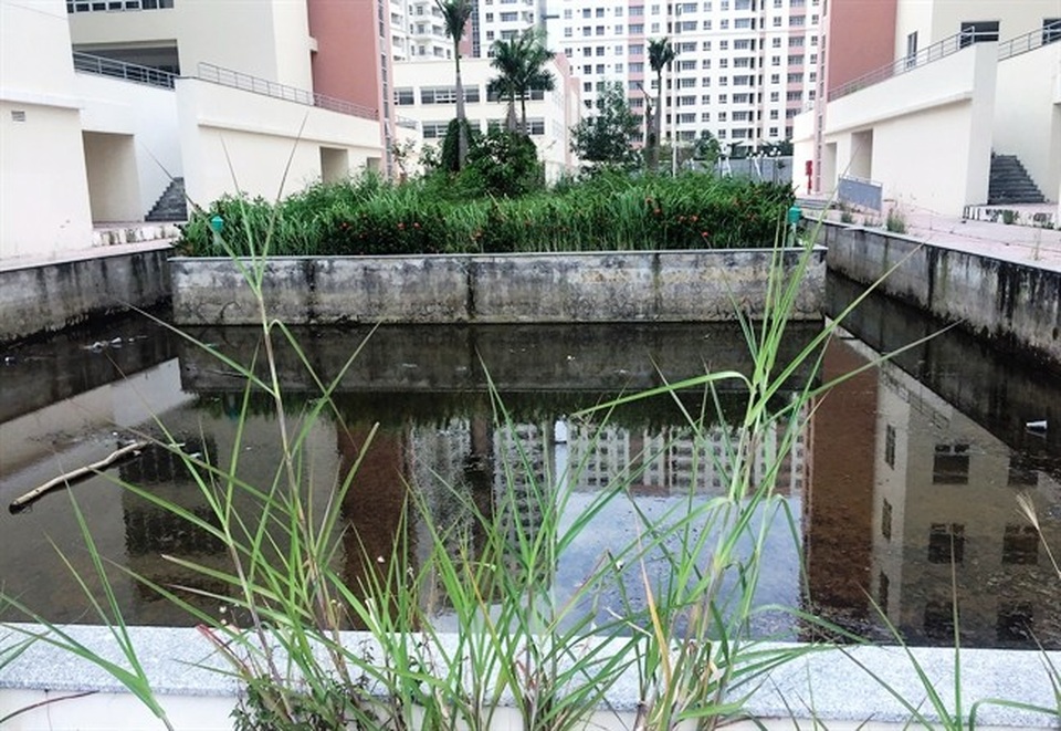 2,37 tỷ đồng/căn hộ ở khu đất vàng Thủ Thiêm, khách chẳng màng - 3 Cỏ dại mọc um tùm và nước mua ứ đọng tại nhiều nơi trong khu tái định cư