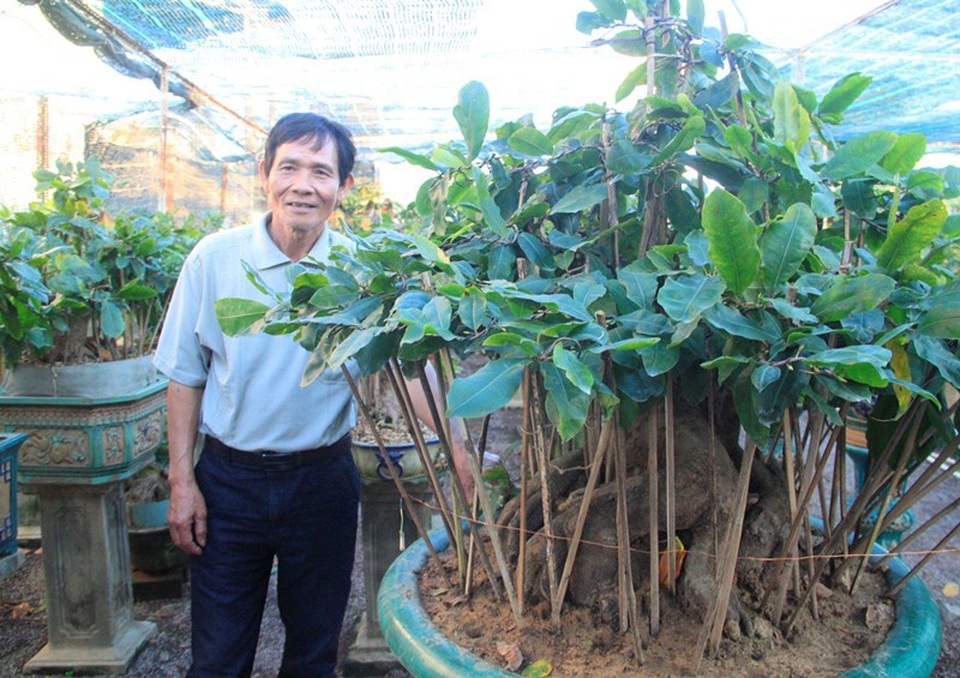 Thời tiết bất thường, người trồng mai thấp thỏm chờ Tết - 8
Một chậu mai khác cũng có giá trăm triệu