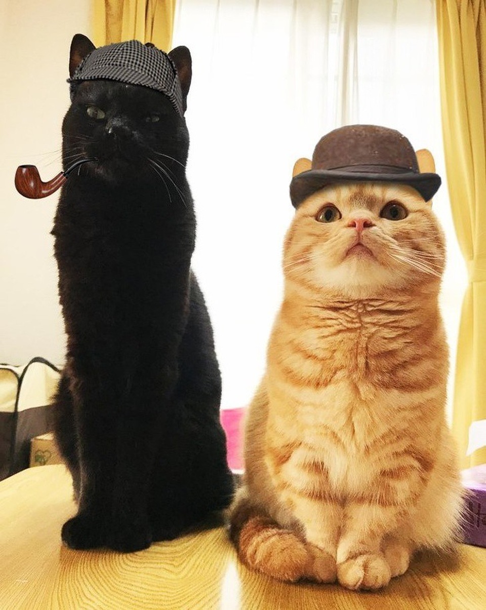 Những “tài năng” Photoshop khiến bạn khóc thét - 10