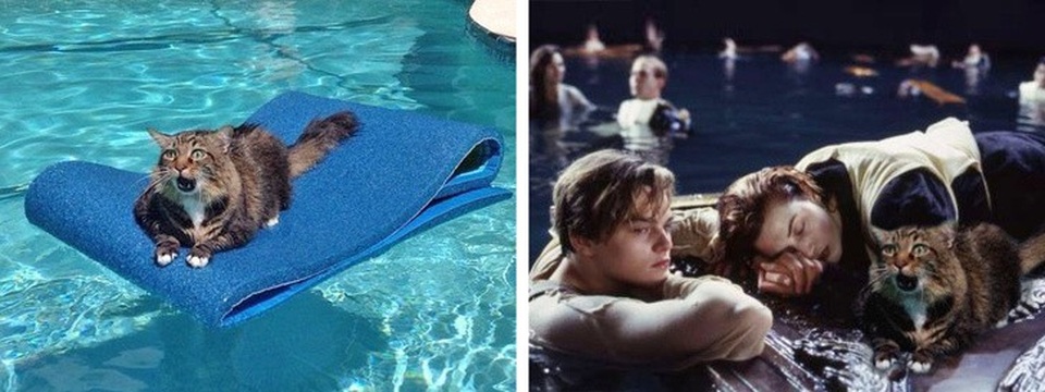 Những “tài năng” Photoshop khiến bạn khóc thét - 12