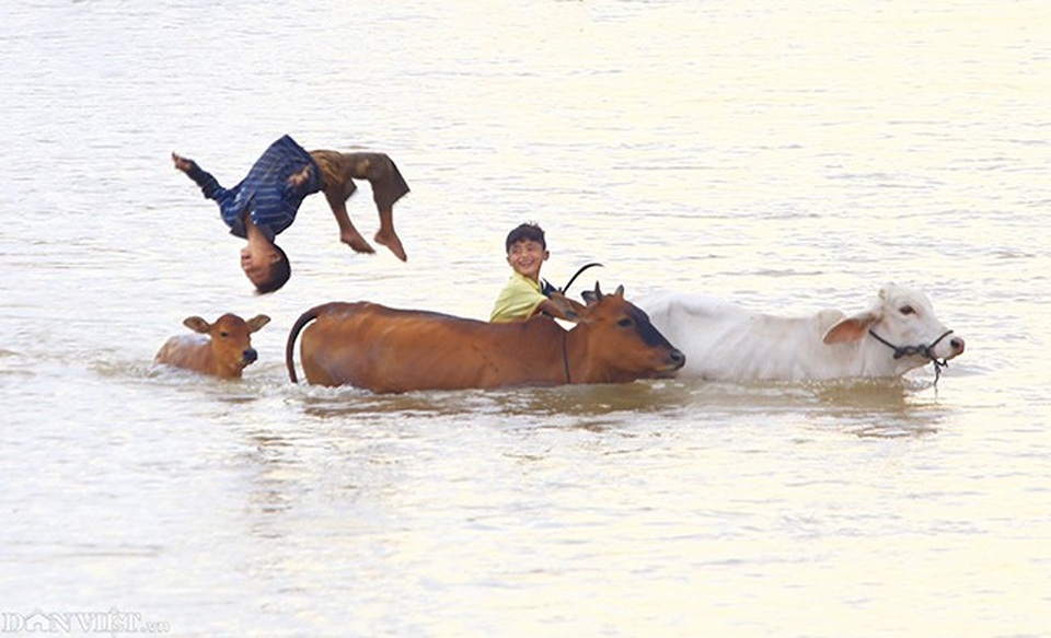 Ảnh đẹp trẻ em vùng cao: Hồn nhiên ánh mắt trong veo nụ cười - 13 Trẻ em đi chăn trâu và vui đùa, bơi lội tại tỉnh Kon Tum.