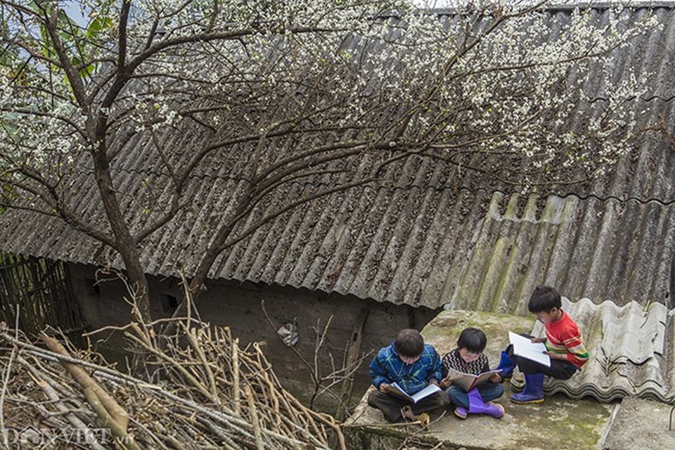 Ảnh đẹp trẻ em vùng cao: Hồn nhiên ánh mắt trong veo nụ cười - 7 Ảnh đẹp trẻ em vùng cao: Hồn nhiên ánh mắt trong veo nụ cười - 7